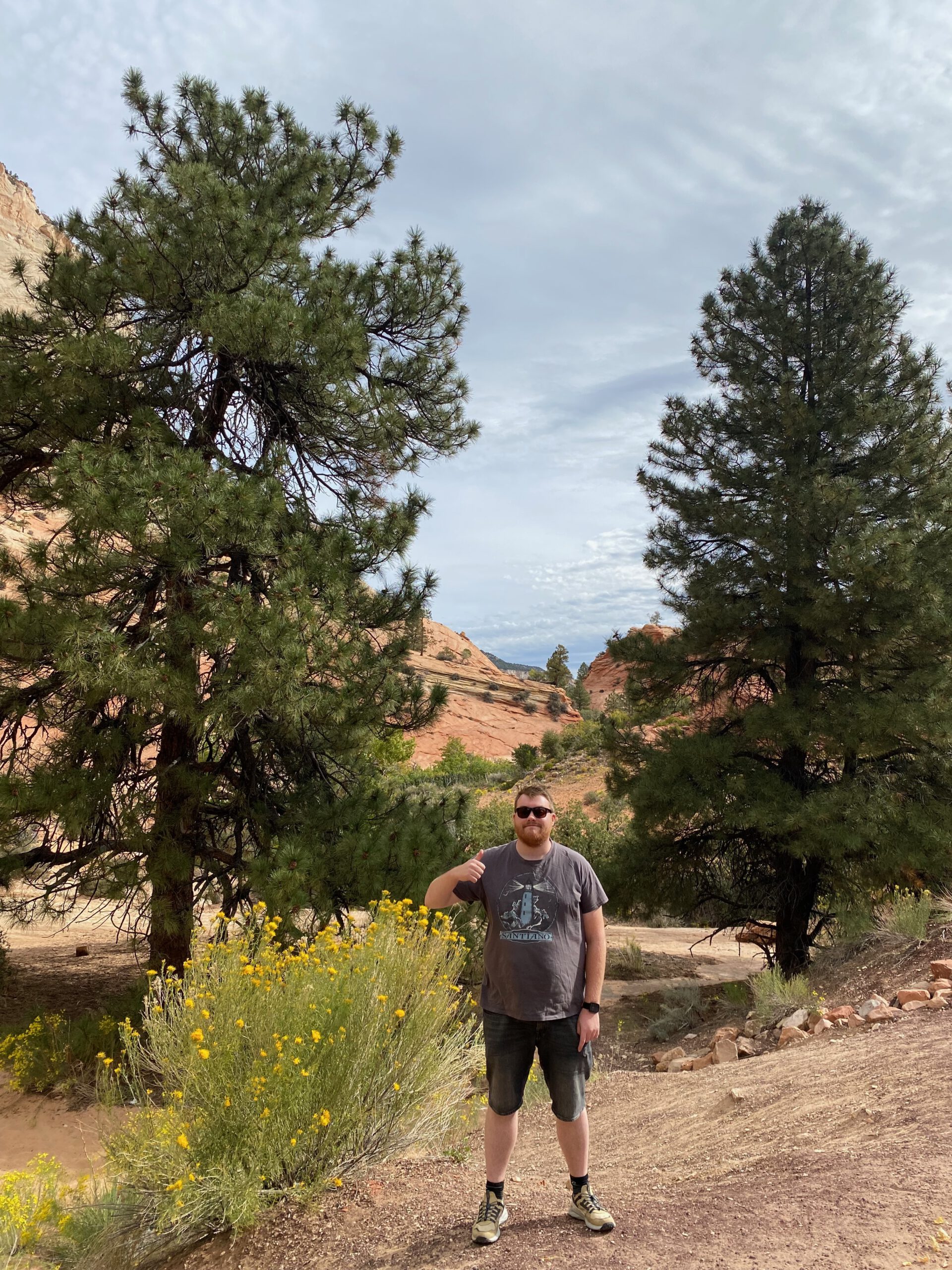 Traveler standing between pine trees and wildflowers in Zion National Park, Utah, surrounded by red rock cliffs and desert nature, exploring Zion Canyon on a sunny day