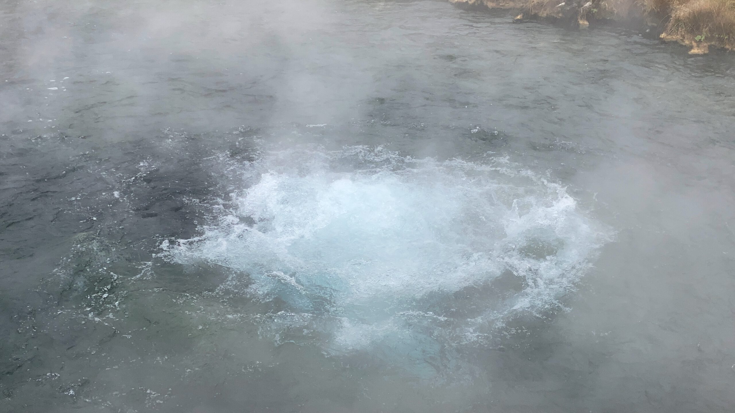 Bubbling hot spring in Yellowstone National Park, close-up of geothermal water activity and rising steam