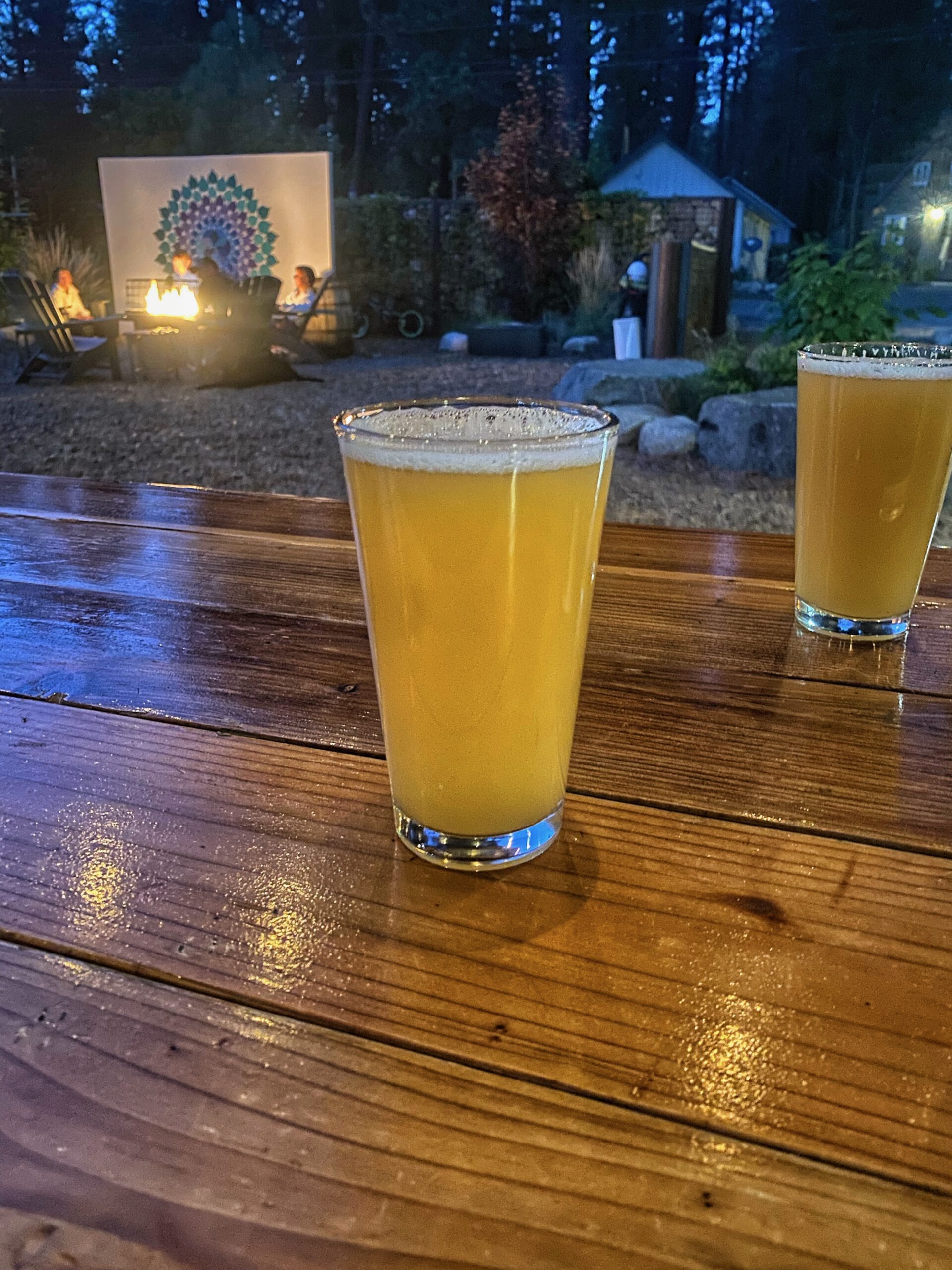 Fresh pale craft beer served at Bear Belly Brewing Company in Kings Beach California, placed on a wooden table during a relaxed evening at a Lake Tahoe brewery