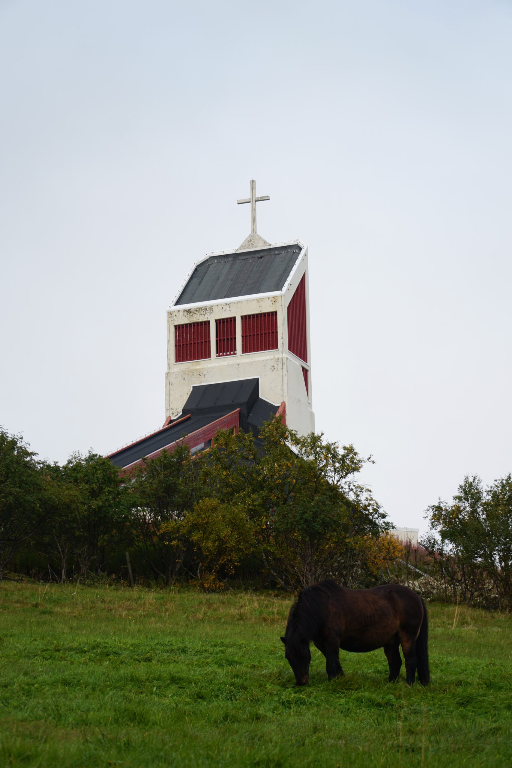 Borge Church on Vestvågøy near the Lofotr Viking Museum, modern church tower rising above green fields with a grazing horse in the foreground