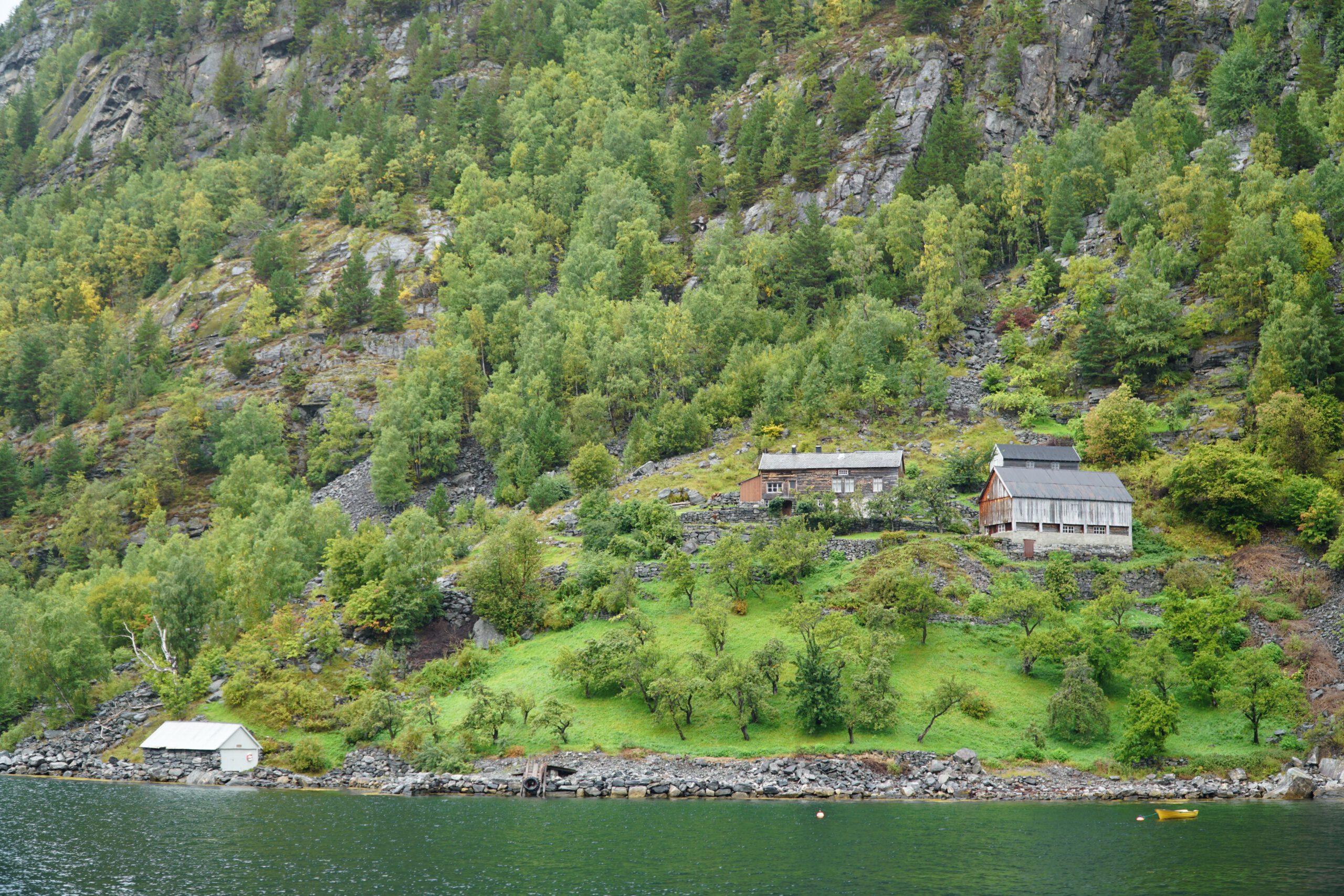 Traditional hillside farmhouses along Geirangerfjord seen during the Geiranger Fjord and Waterfalls Sightseeing Boat Trip surrounded by lush forest and rocky cliffs