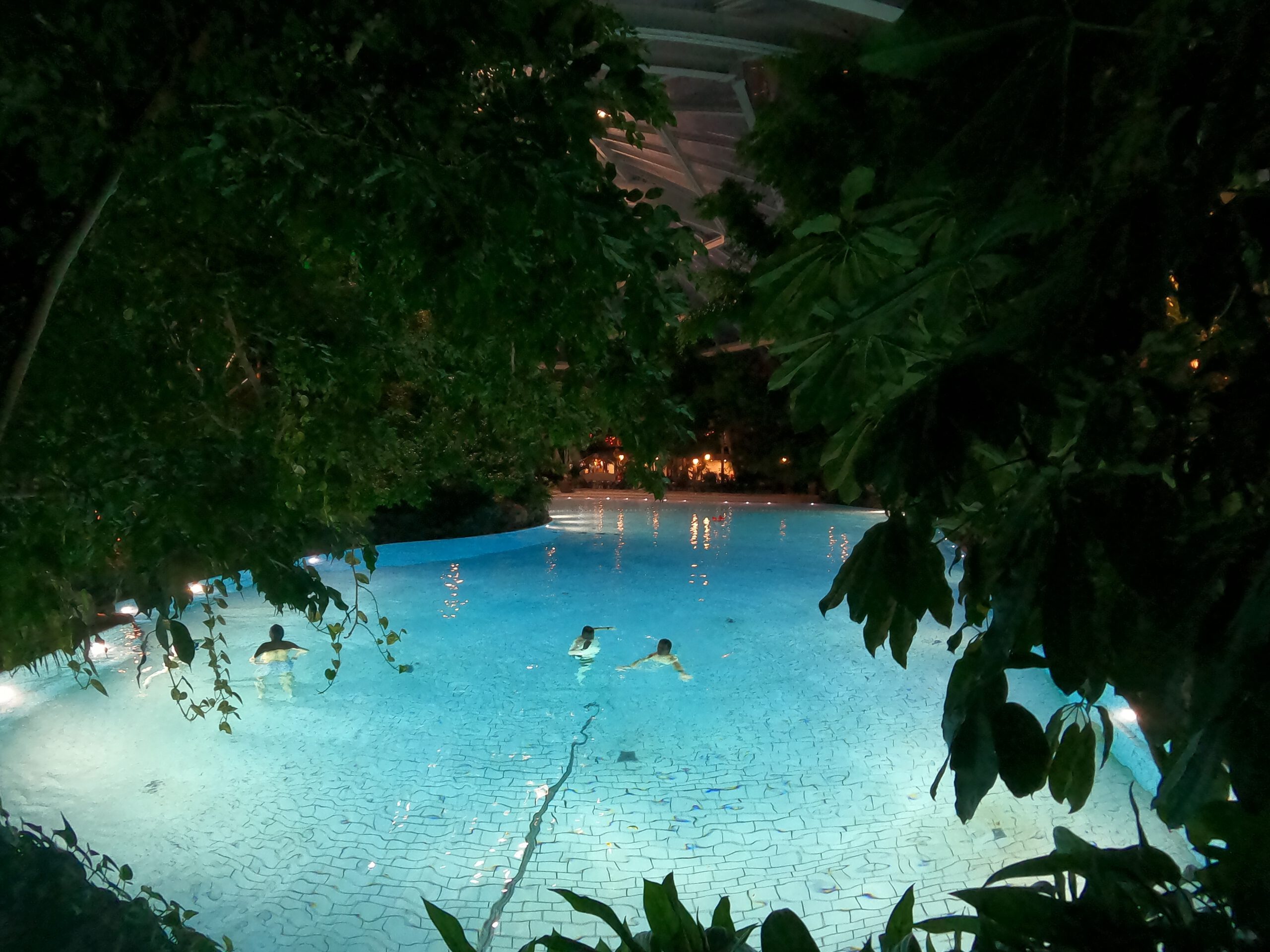 Aqua Mundo Center Parcs Het Heijderbos at night, Timo van den Berg and Peter Smit swimming in the illuminated wave pool surrounded by tropical plants inside the subtropical dome in Limburg