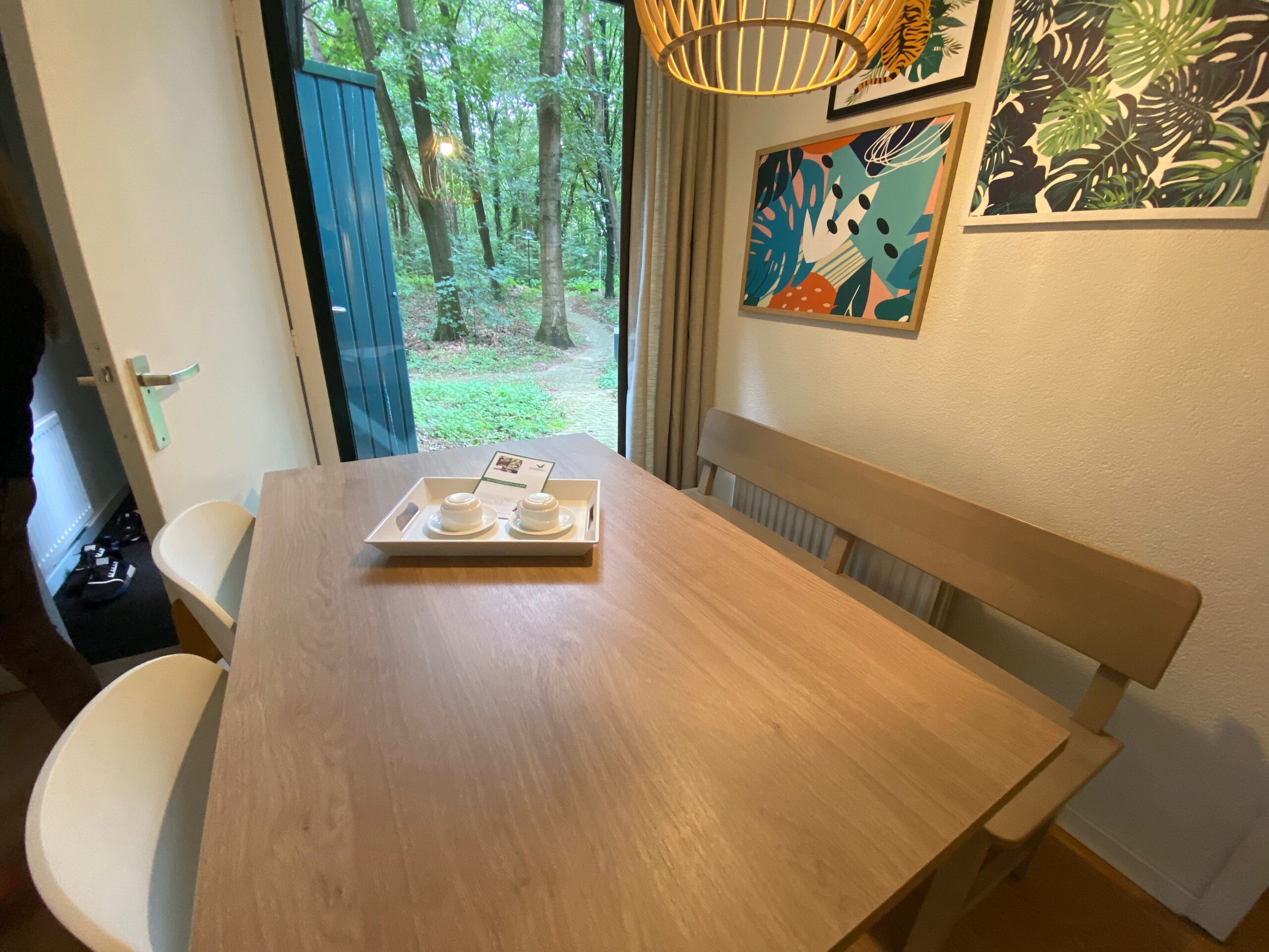 Dining area with wooden table and forest view in Center Parcs Het Heijderbos 4 pers Premium HB1922 cottage 965, located near the woodland edge