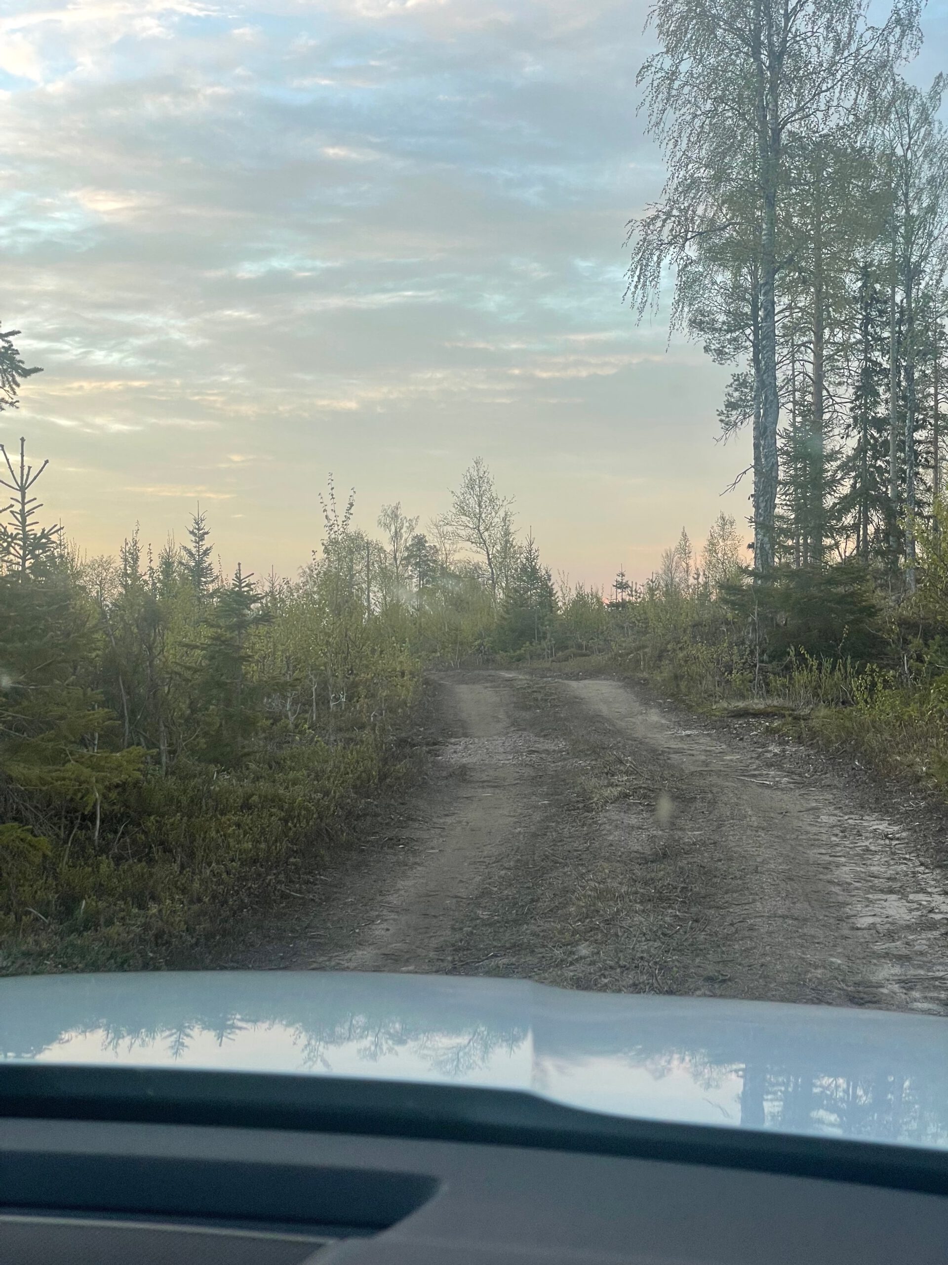T4 Wintertrail Kota Sweden rough gravel road surrounded by dense forest, remote off road access route through northern Sweden
