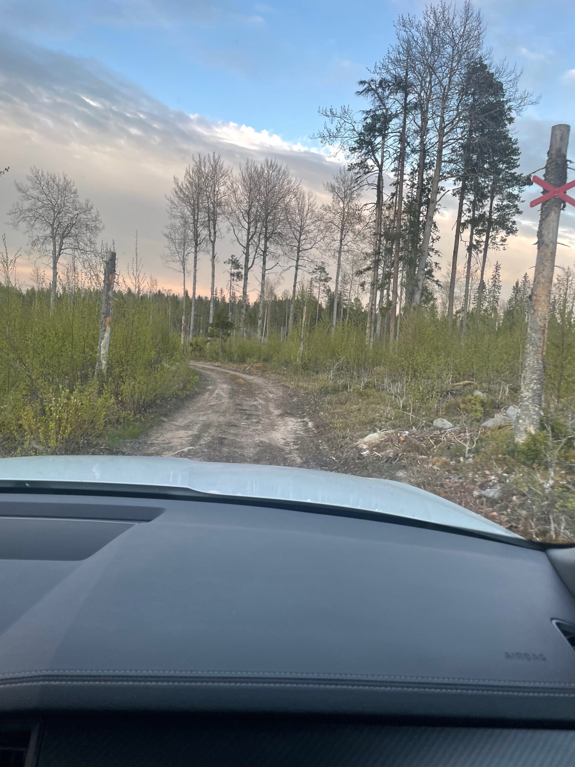 T4 Wintertrail Kota Sweden forest road viewed from inside an SUV, narrow off road track leading deep into northern Sweden wilderness