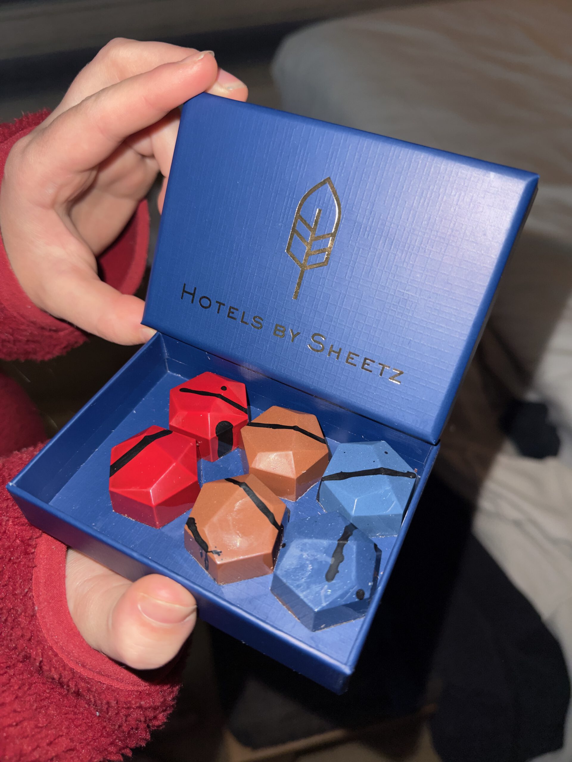 Grand Hotel Ter Duin review Valentine surprise with Hotels by Sheetz chocolate bonbons in a blue gift box held in hand inside the hotel room