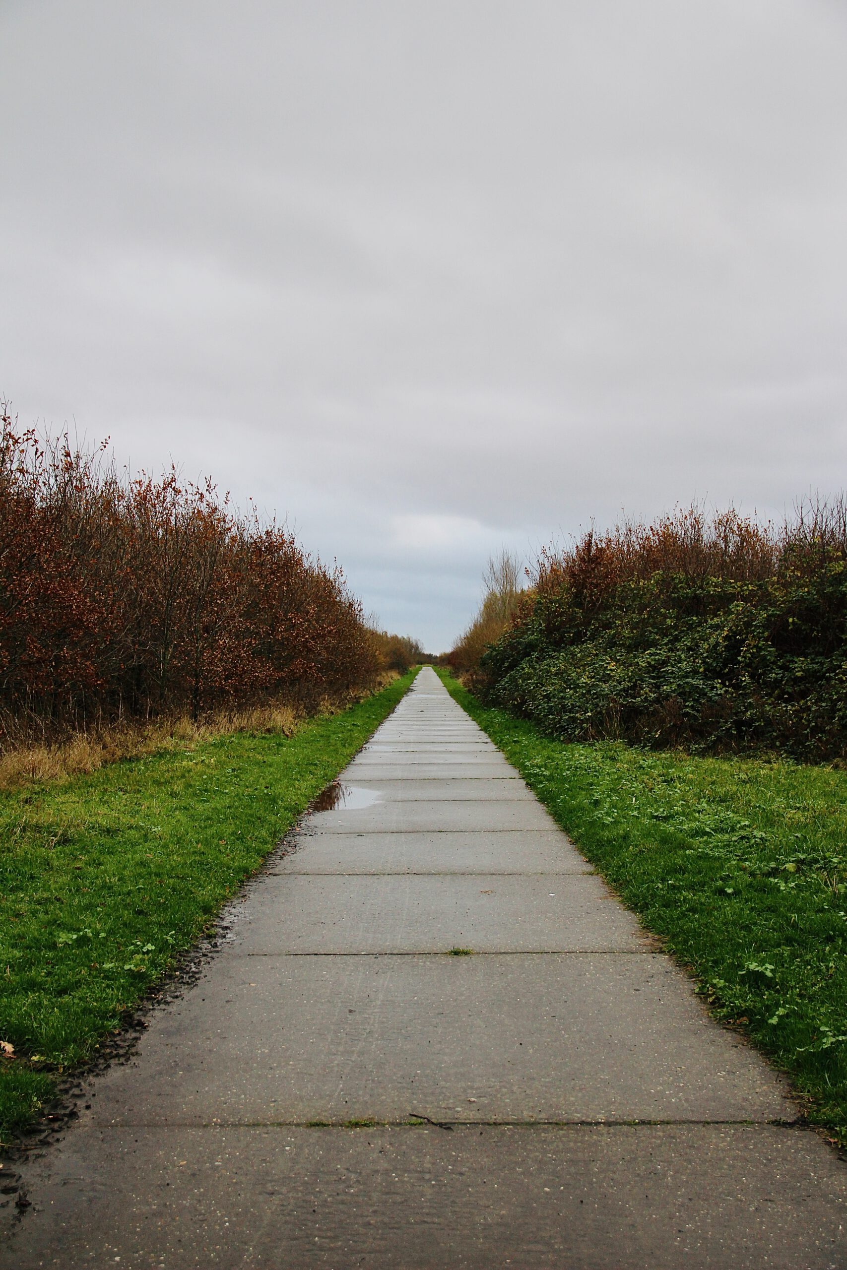 Straight walking and cycling path through the Bentwoud near BentGoud Bentwoud, surrounded by green grass, bushes, and a wide open sky
