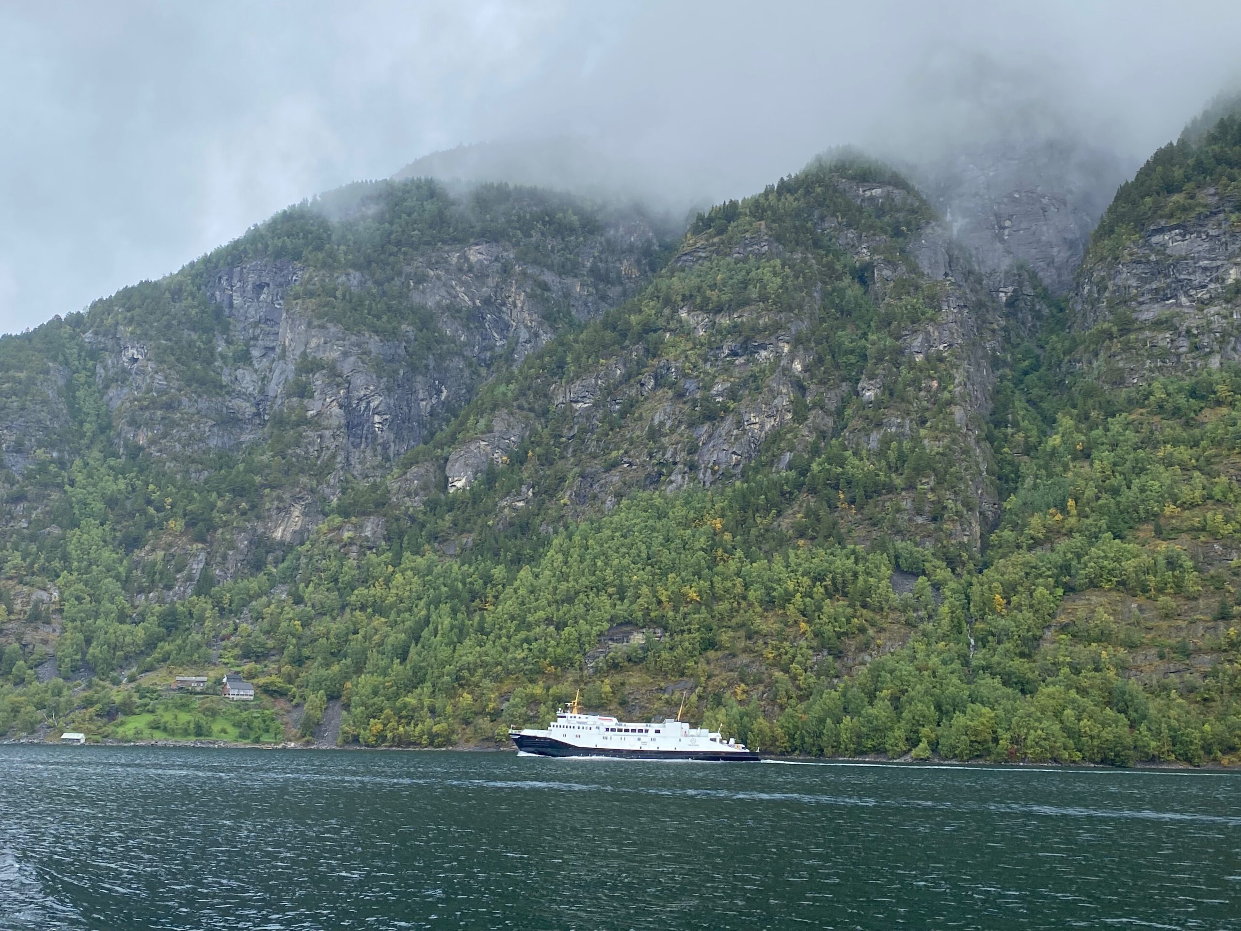 Cruise ship sailing through Geirangerfjord during the Geiranger Fjord and Waterfalls Sightseeing Boat Trip with steep green mountains and low hanging mist