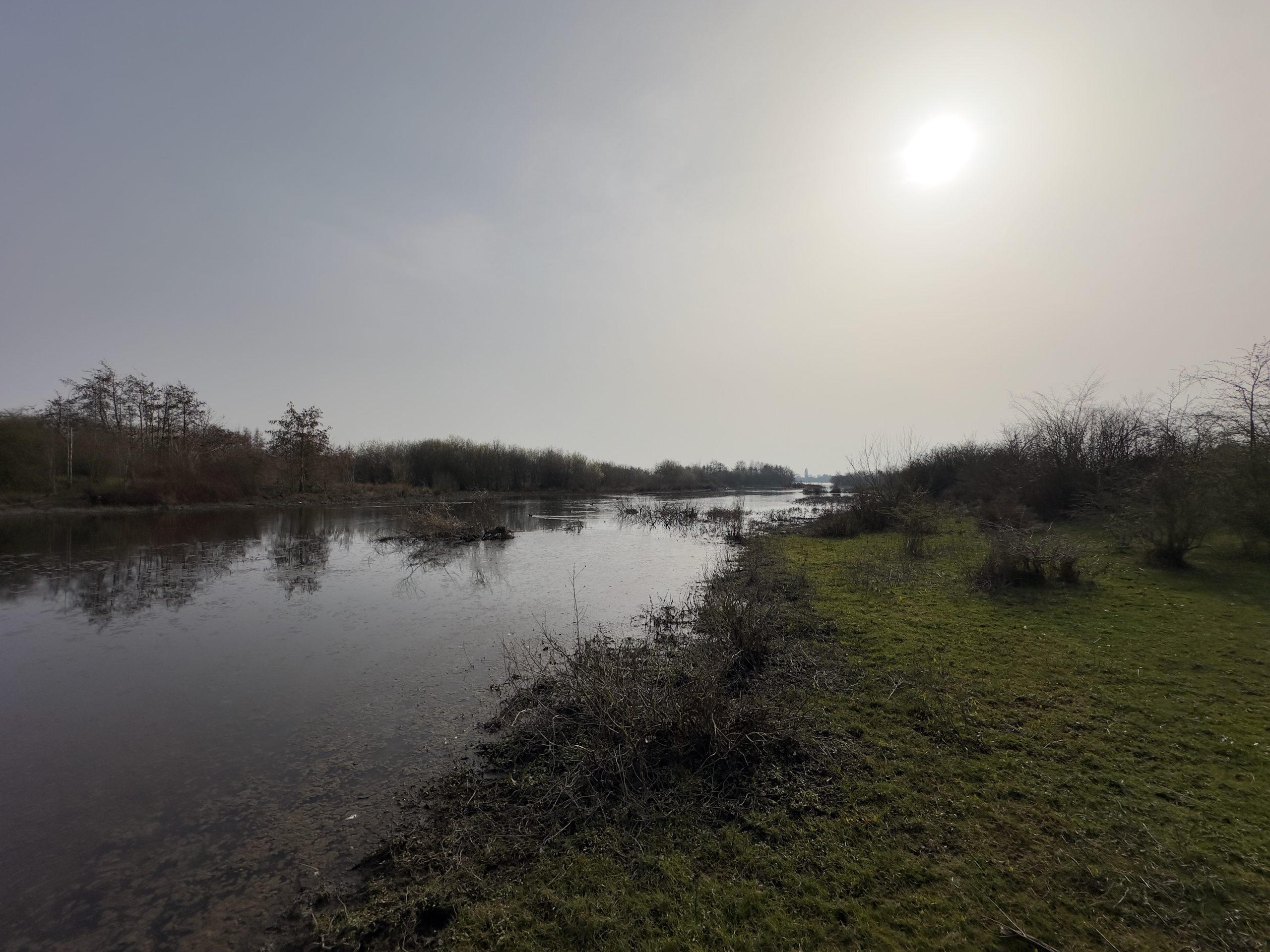 De Hompesche Molen wetlands and walking path near Stevensweert, with shallow water, winter light, and scenic Limburg nature