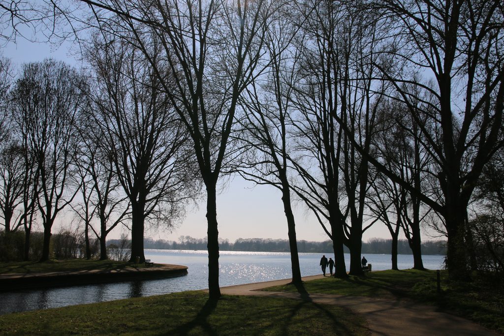 Bezoekerscentrum De Veenweiden near Alphen aan den Rijn with a scenic lakeside path, tall leafless trees, and visitors walking along the water