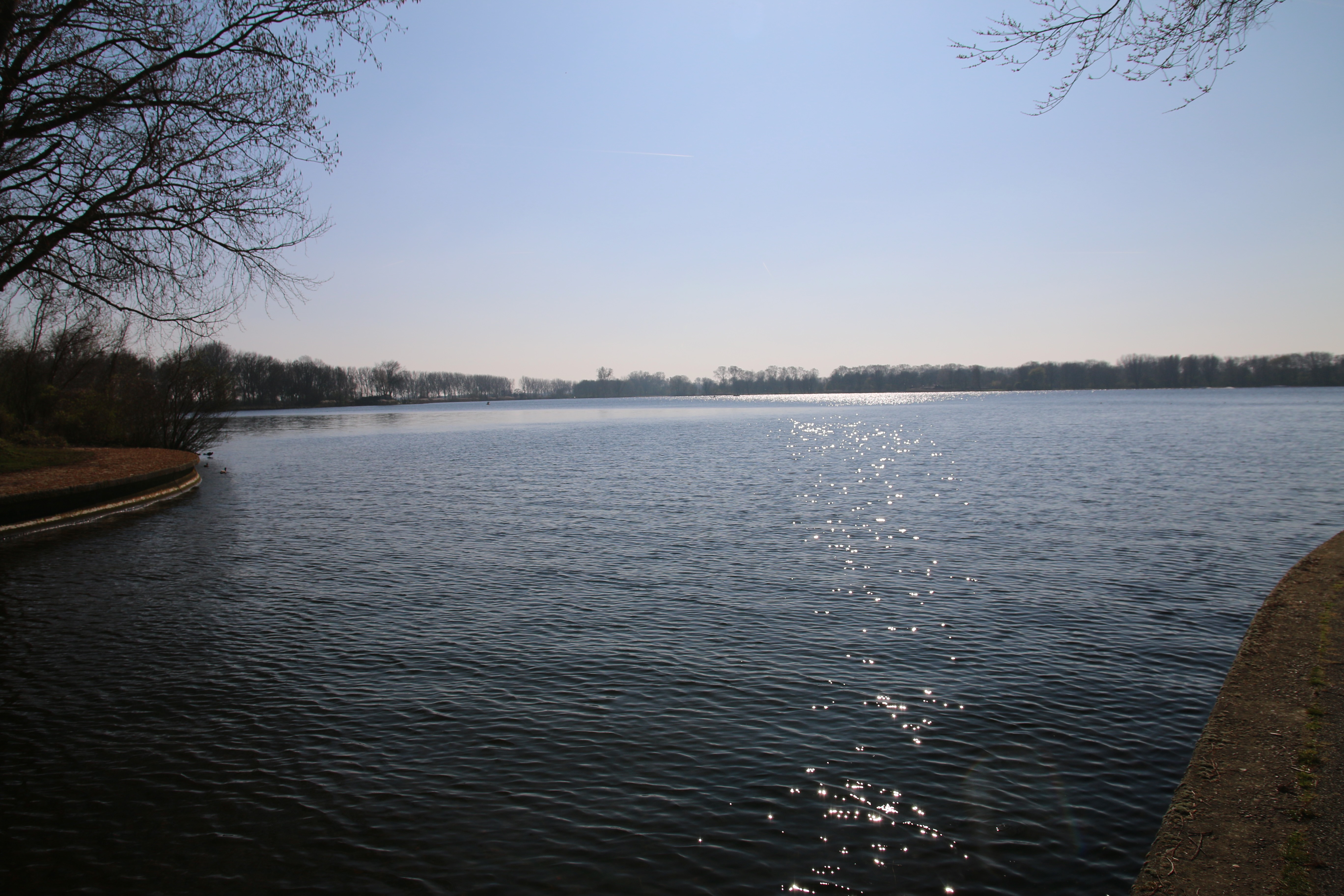 Bezoekerscentrum De Veenweiden surrounding area with a wide lake view, sparkling water, and peaceful nature in Park Zegersloot