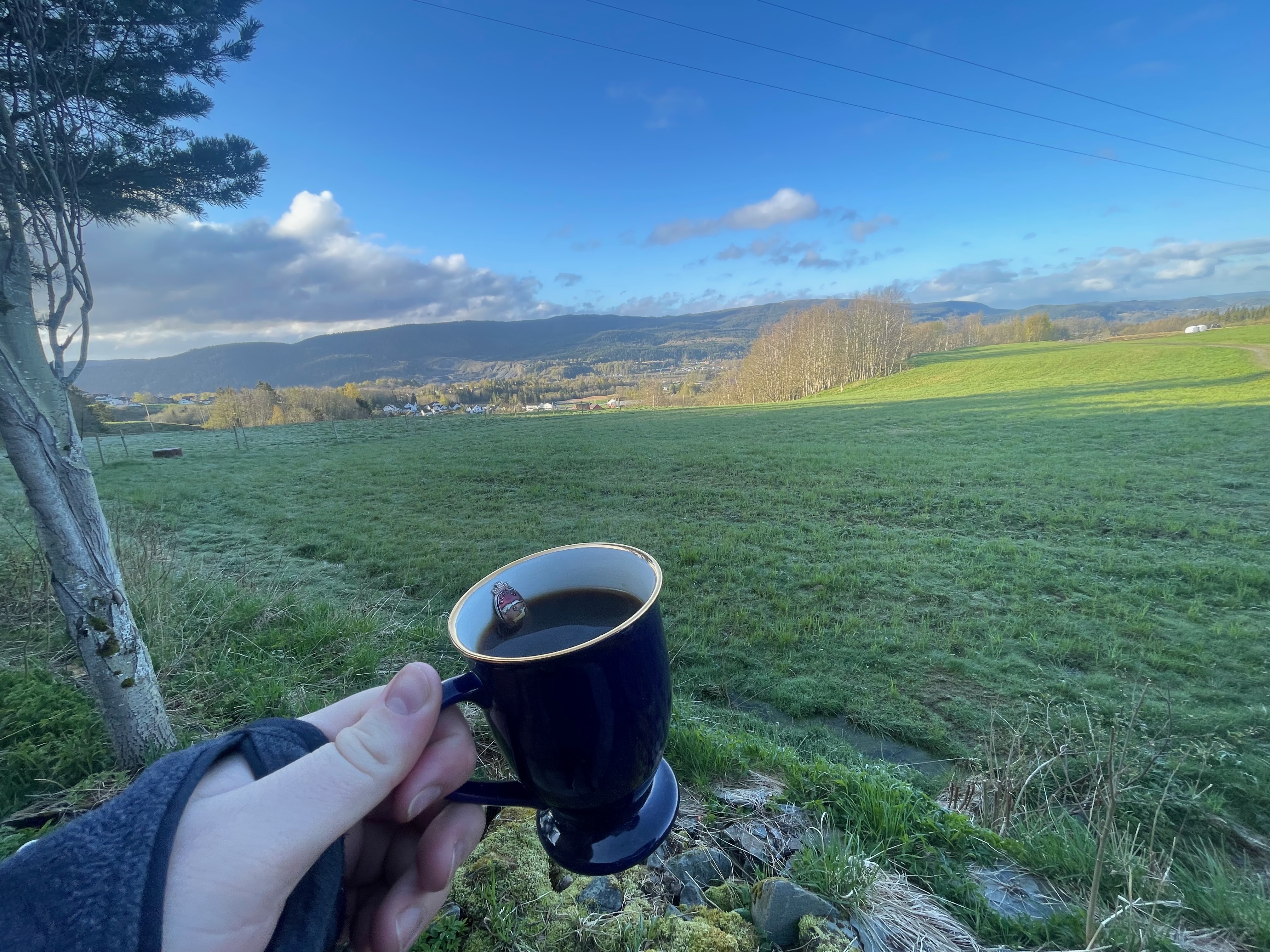 Airbnb in Stjordal Norway, cup of coffee held in front of open green fields, rolling hills, trees, and a peaceful countryside view near Stjørdal.