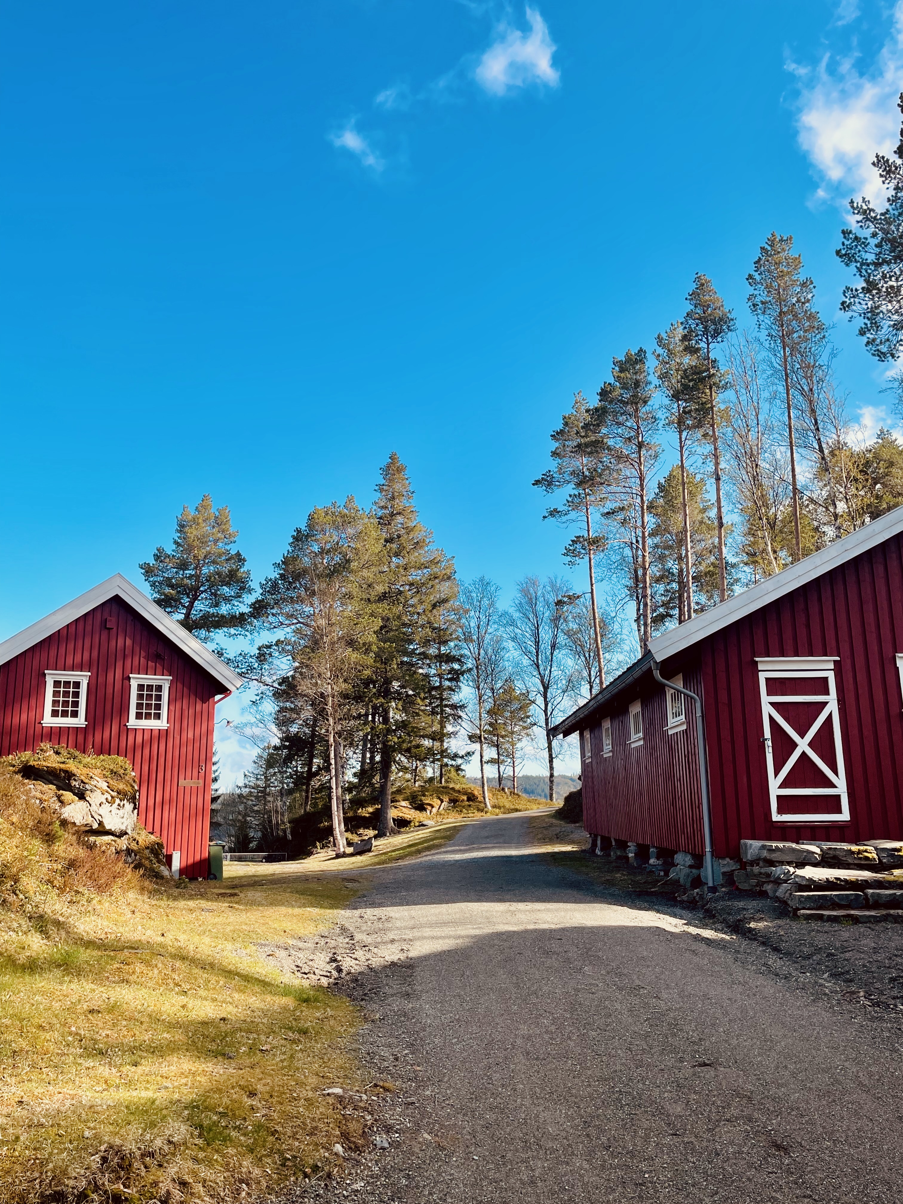 Hegra Fortress red wooden buildings along a gravel road, surrounded by forest trees, rocky ground, and a bright blue sky in Norway