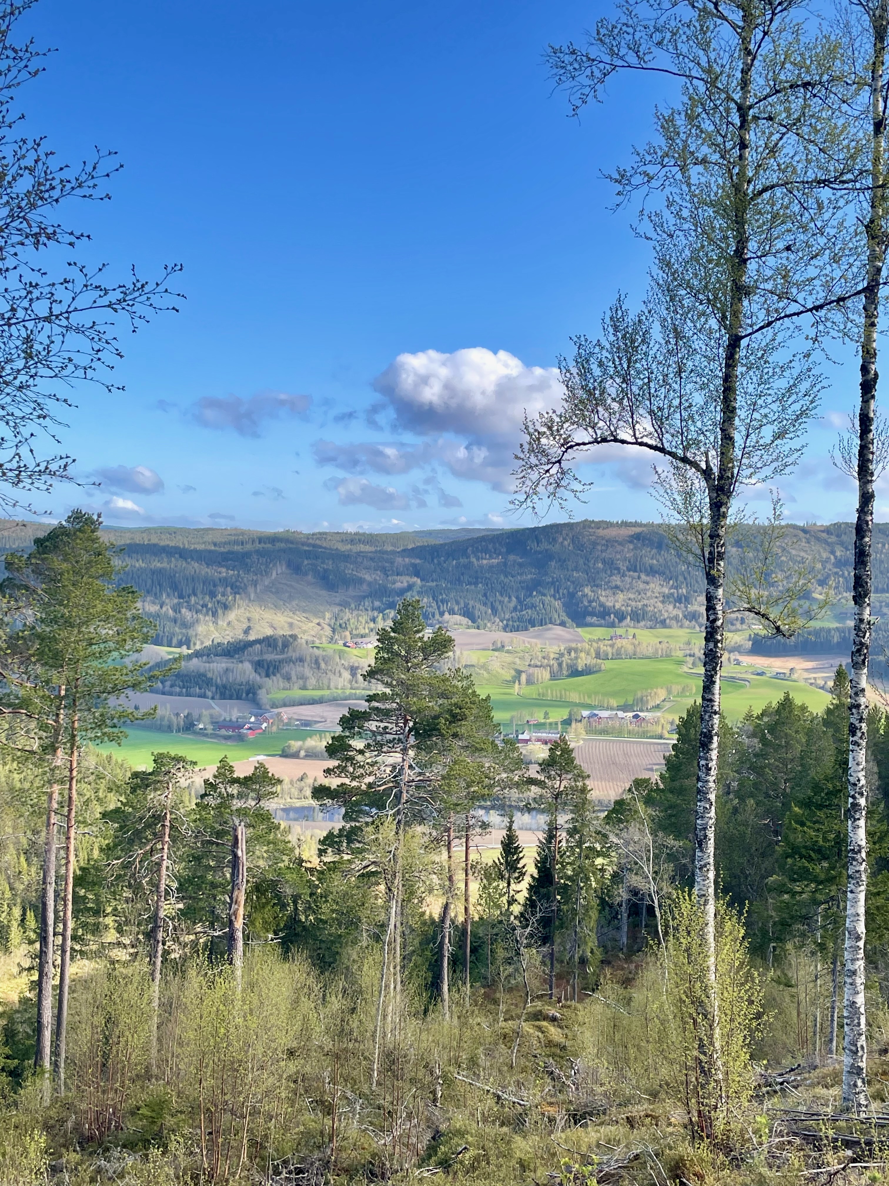 Hegra Fortress viewpoint over the green valley near Stjørdal, with forest trees, farmland, hills, and a clear blue sky in Norway