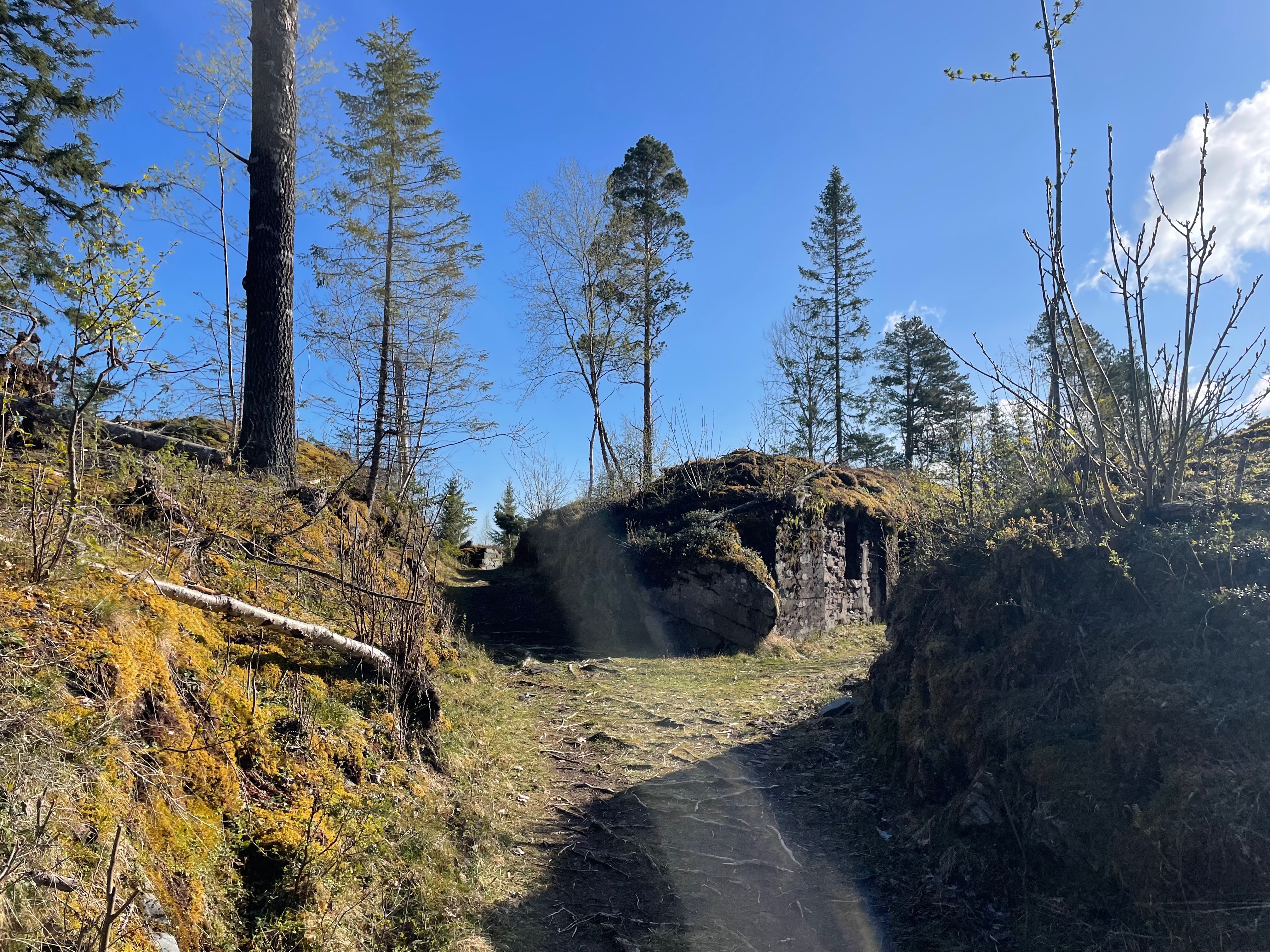 Hegra Fortress forest path leading past moss covered ruins, rocky slopes, pine trees, and historic fort remains in Norway