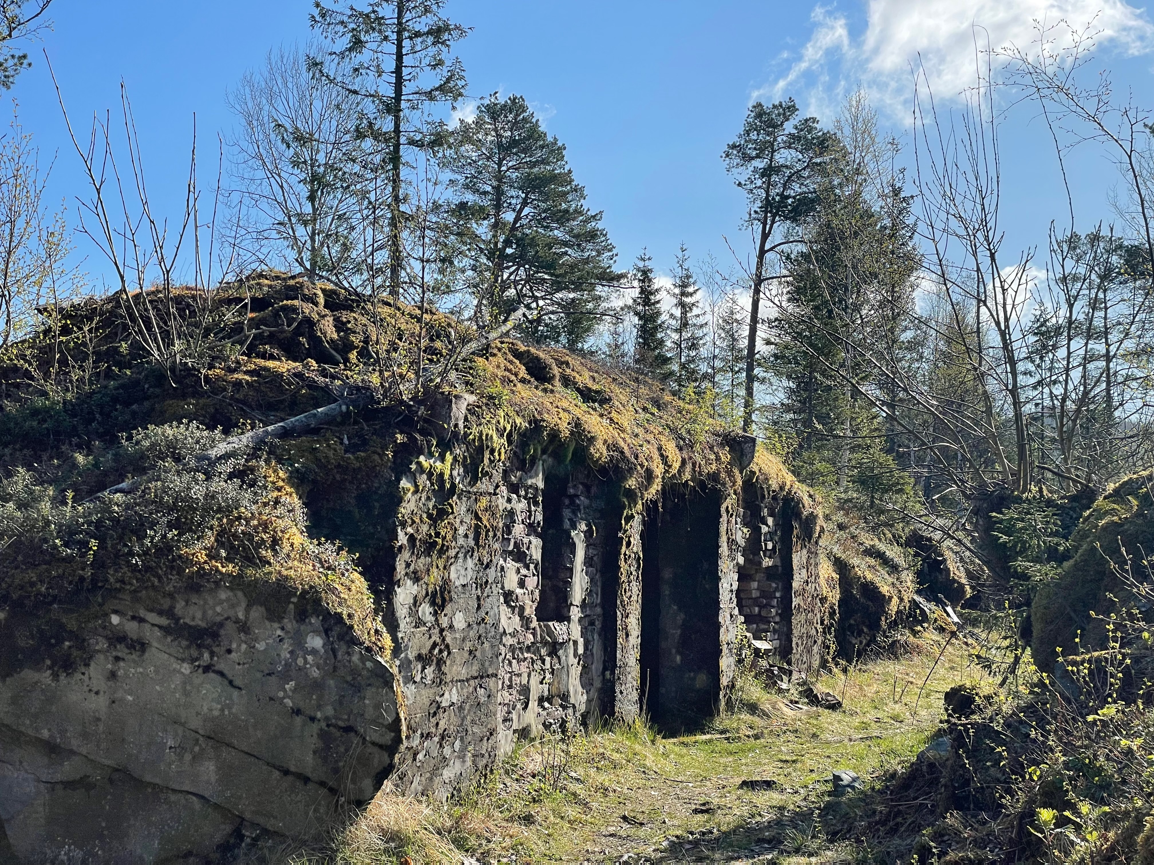Hegra Fortress old stone ruins hidden in the forest, with moss covered walls, trees, and sunlight around the historic fort area in Norway