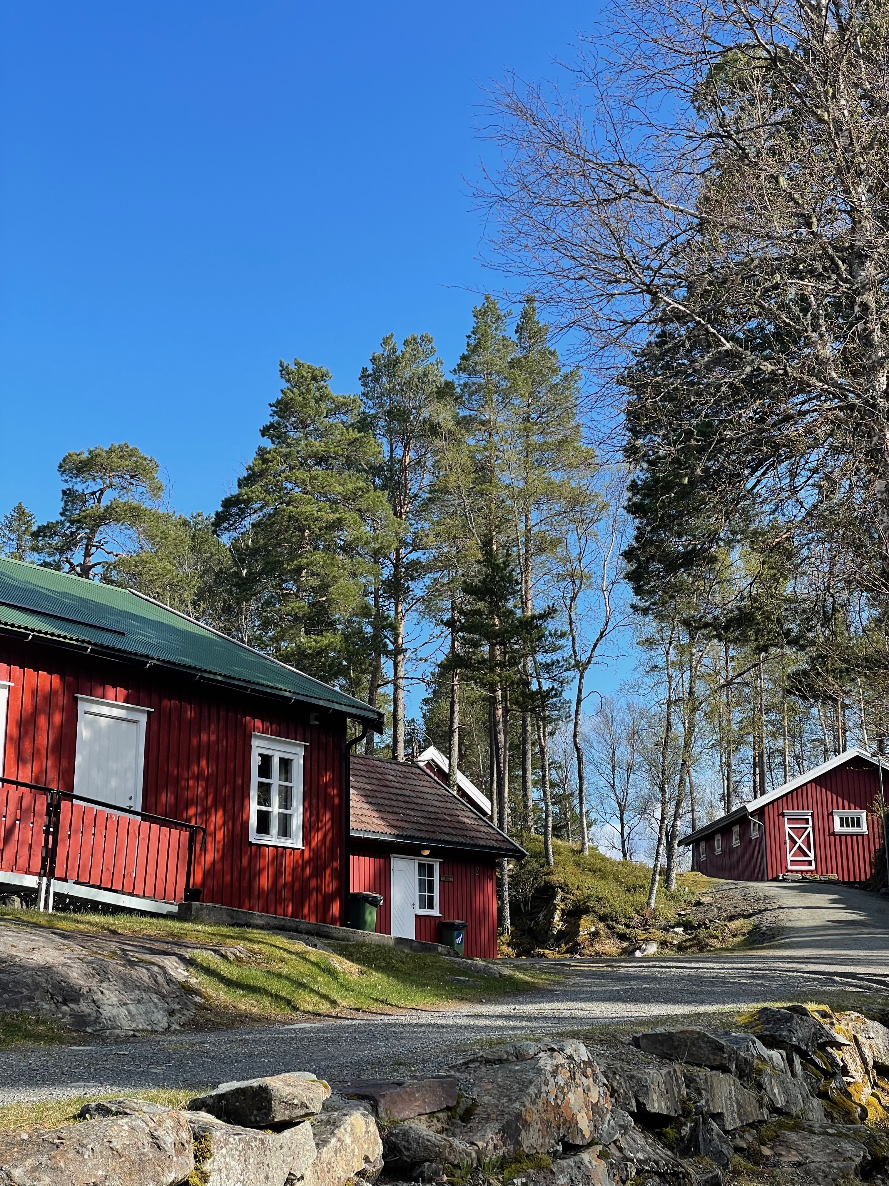 Hegra Fortress historic red buildings with forest scenery, gravel paths, stone walls, and tall trees under a clear sky in Norway