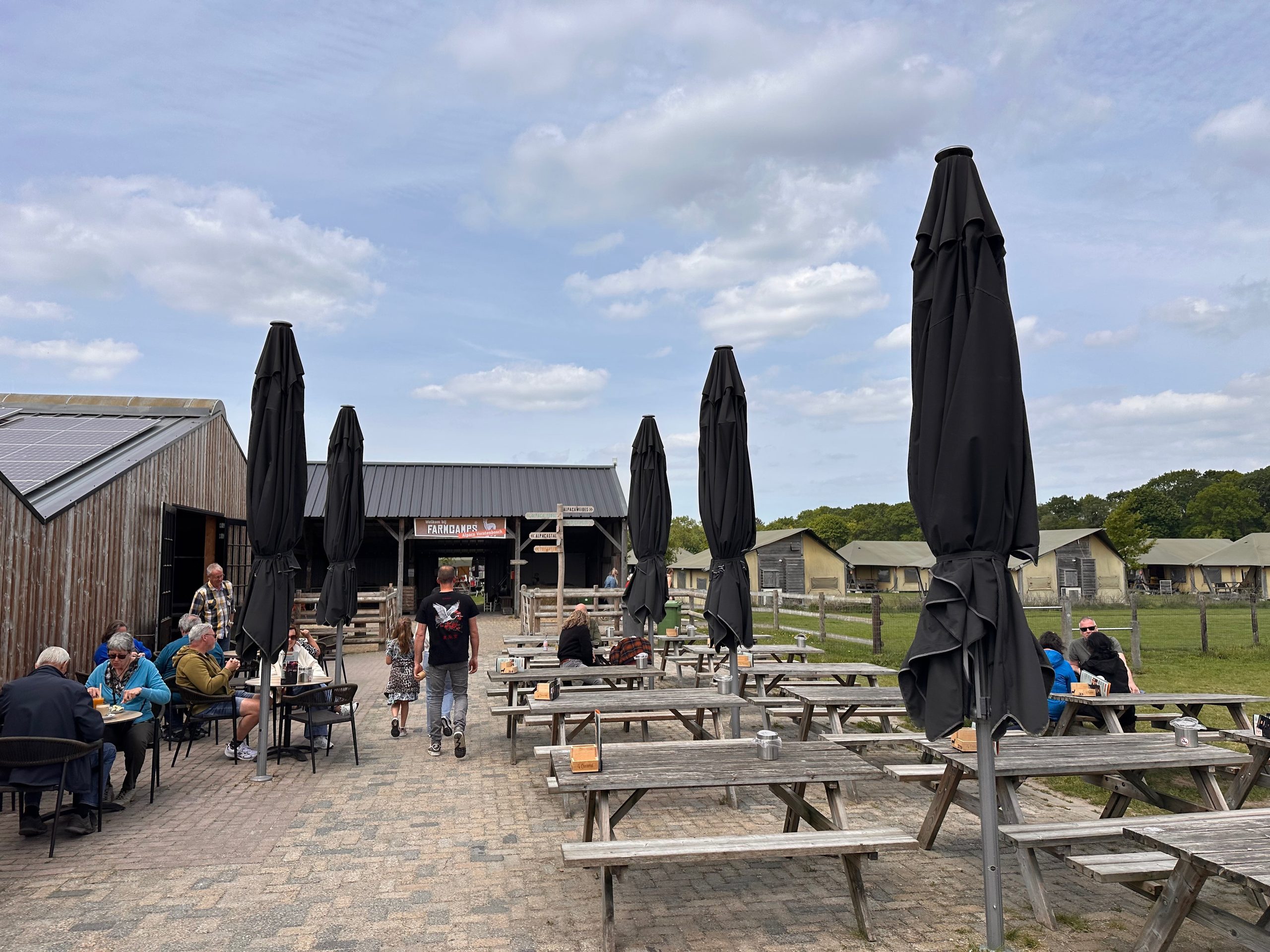 Alpacafarm Vorstenbosch review, sunny outdoor terrace with wooden picnic tables, black parasols, visitors, and FarmCamps area in Vorstenbosch