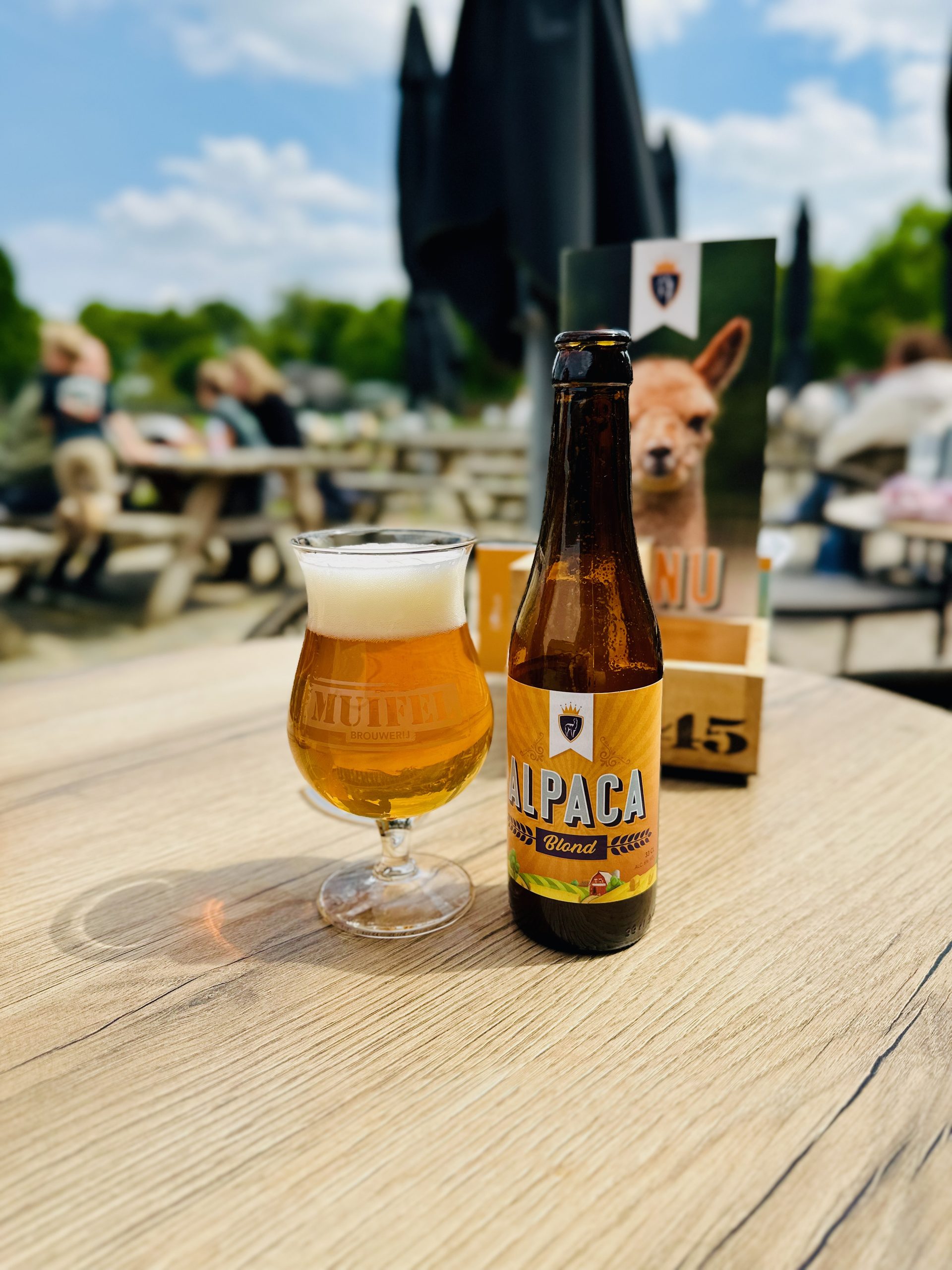 Alpacafarm Vorstenbosch review, Alpaca Blond beer served on the sunny terrace at Alpacafarm Vorstenbosch