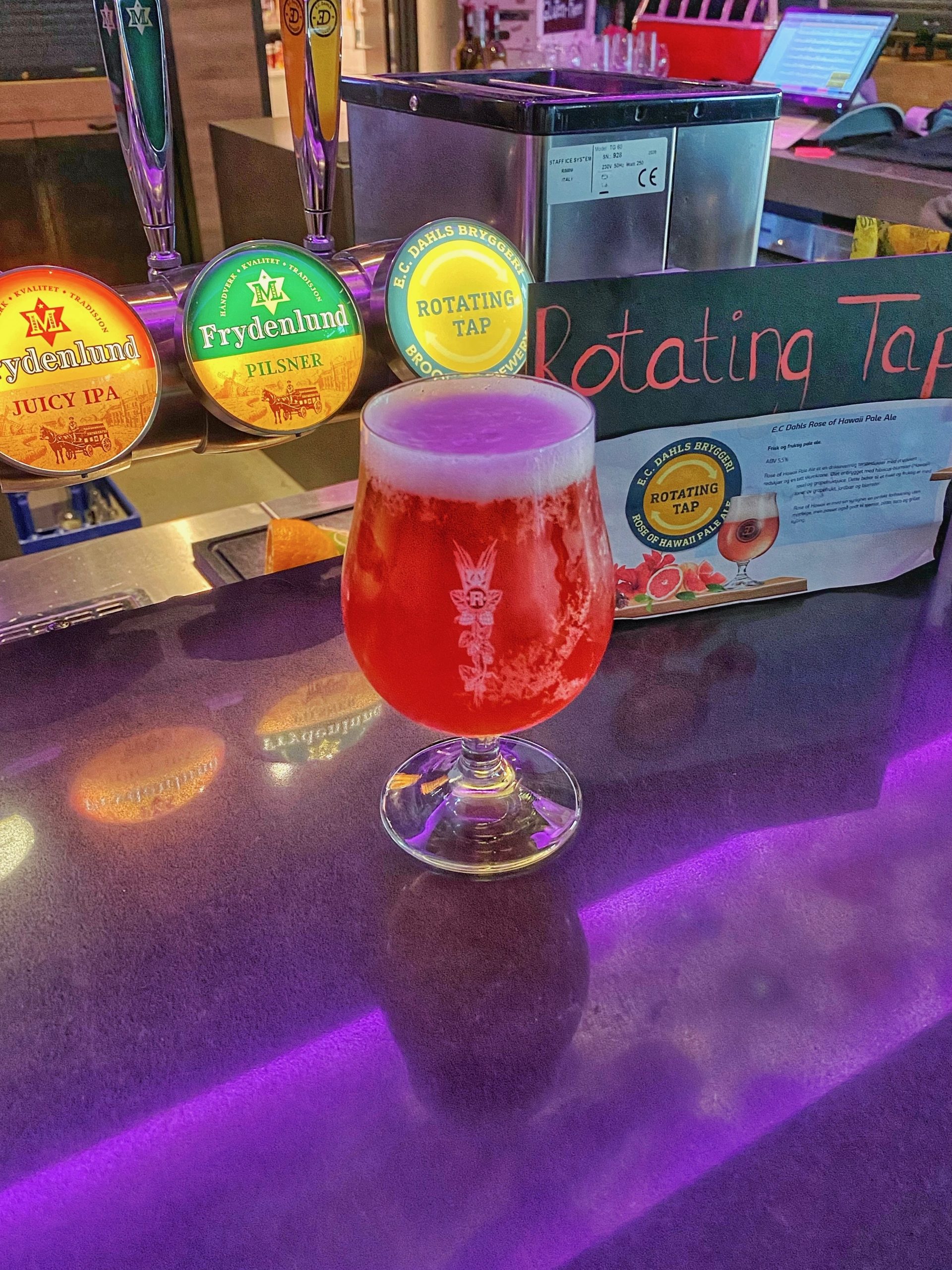 Moxy Hotel Bergen bar with a red craft beer from the rotating tap and local beer taps in the modern hotel lounge