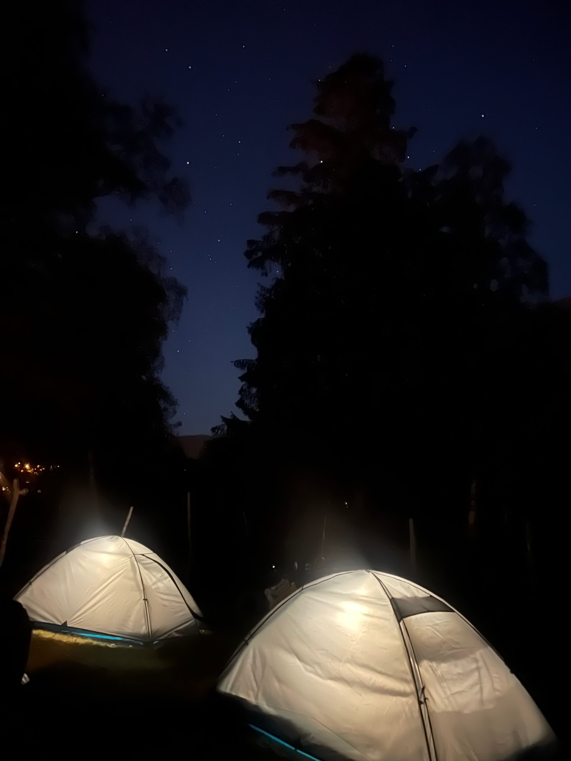 Two glowing tents at night under a starry sky at Seim Camping Røldal, surrounded by dark trees and quiet Norwegian nature.