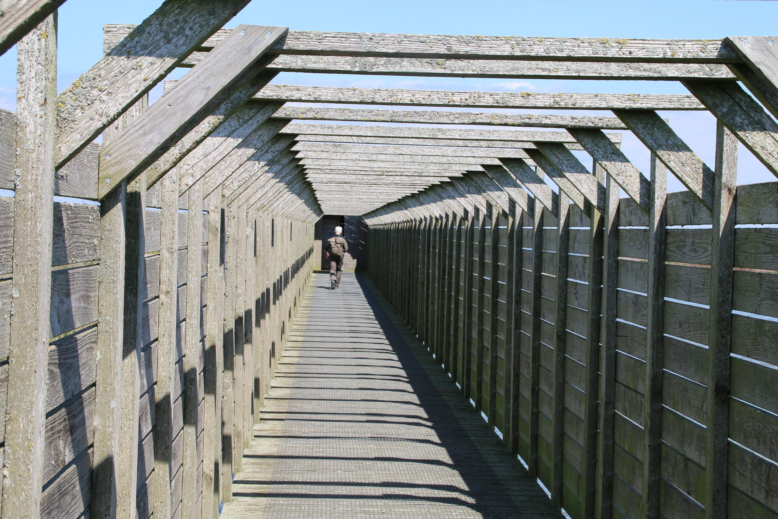 Marker Wadden island visit inside the wooden walkway of Vogelkijkhut Duikeend leading toward the bird watching area