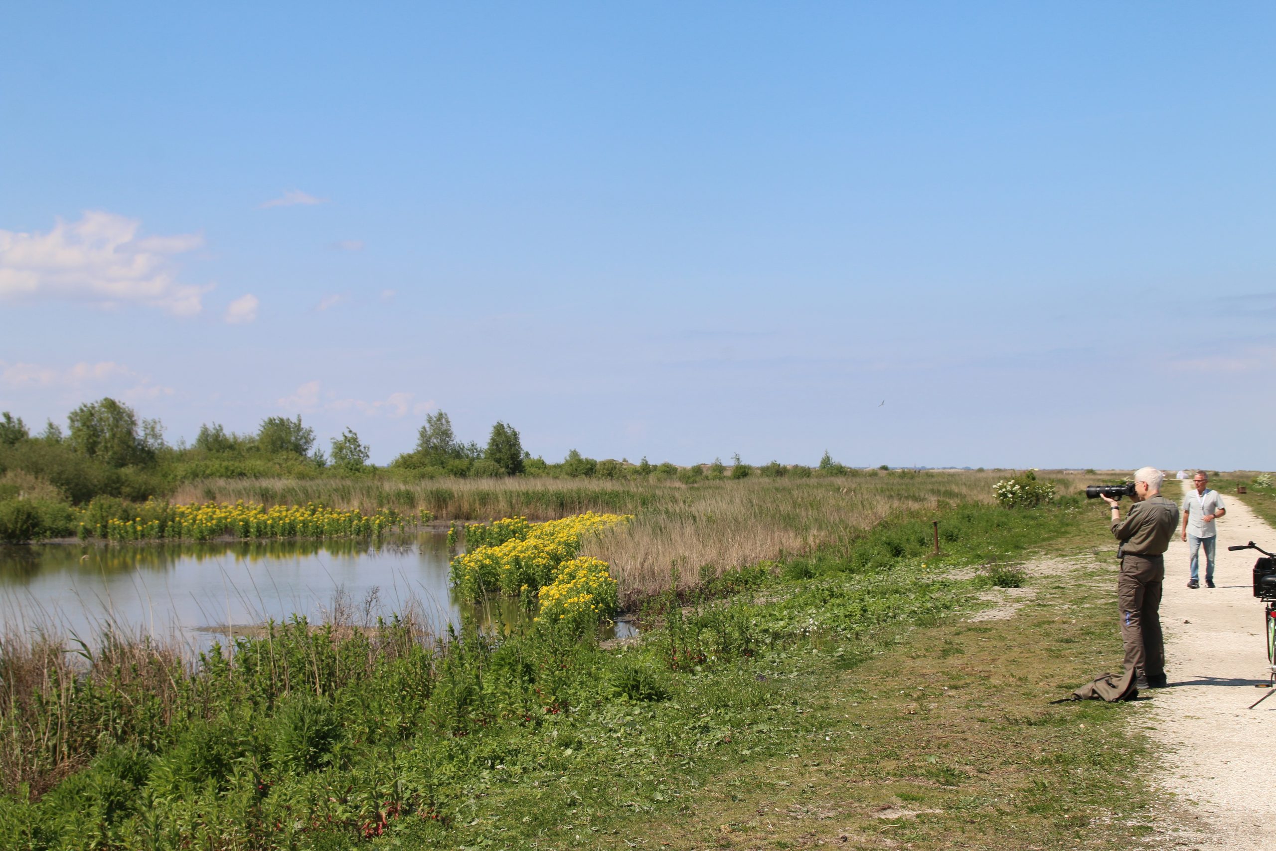 Marker Wadden island visit with visitors staying on the original paths while photographing birds in the protected wetland area