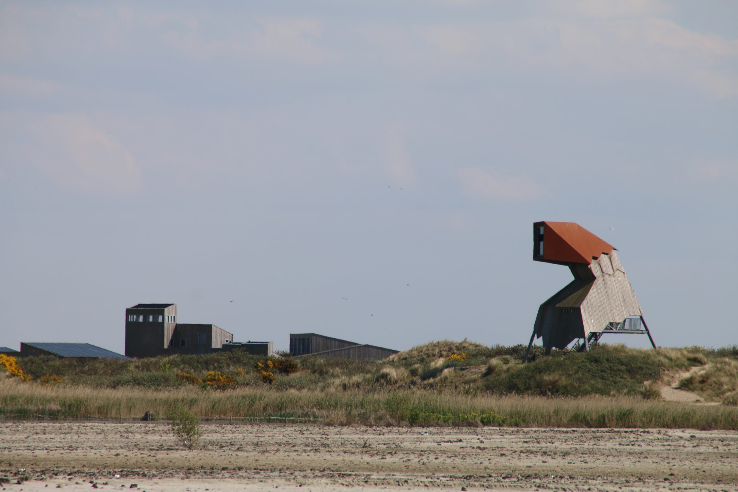 Marker Wadden island visit with modern bird watching towers and nature buildings rising above the quiet island dunes