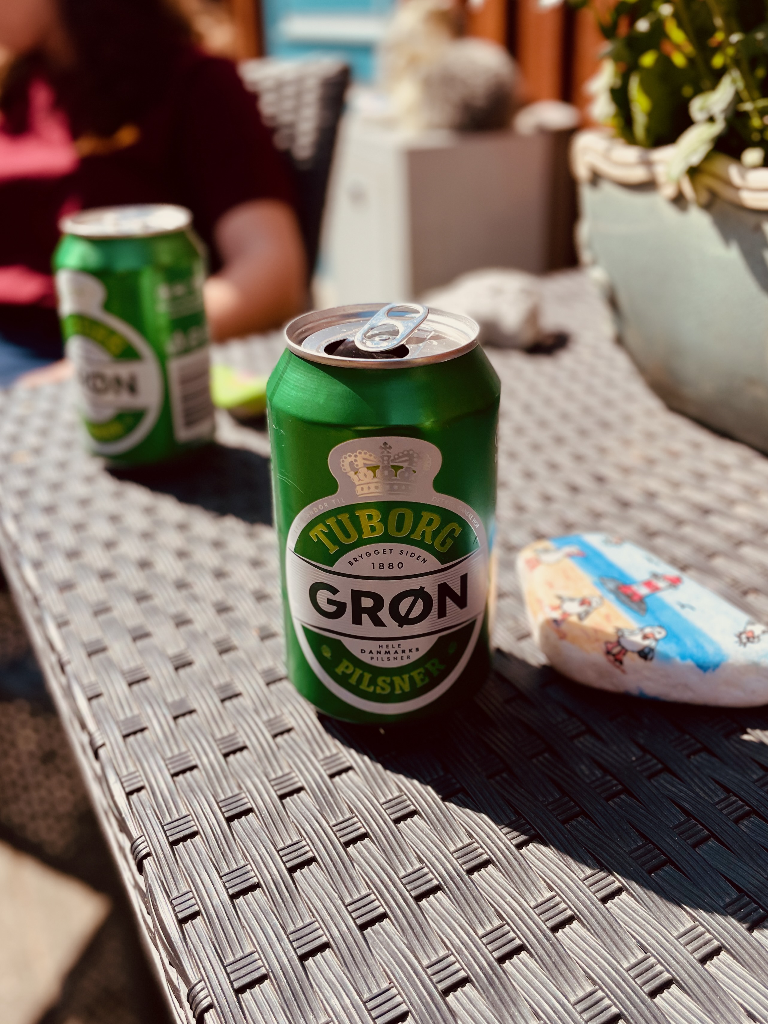 Private Annex Haderslev Review showing Tuborg Grøn pilsner cans on the outdoor table in the Airbnb courtyard in Haderslev, with a sunny garden setting and small snack beside it.